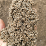 Brown Gujarat Sand