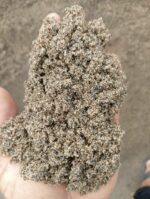 Brown Gujarat Sand - Image 2